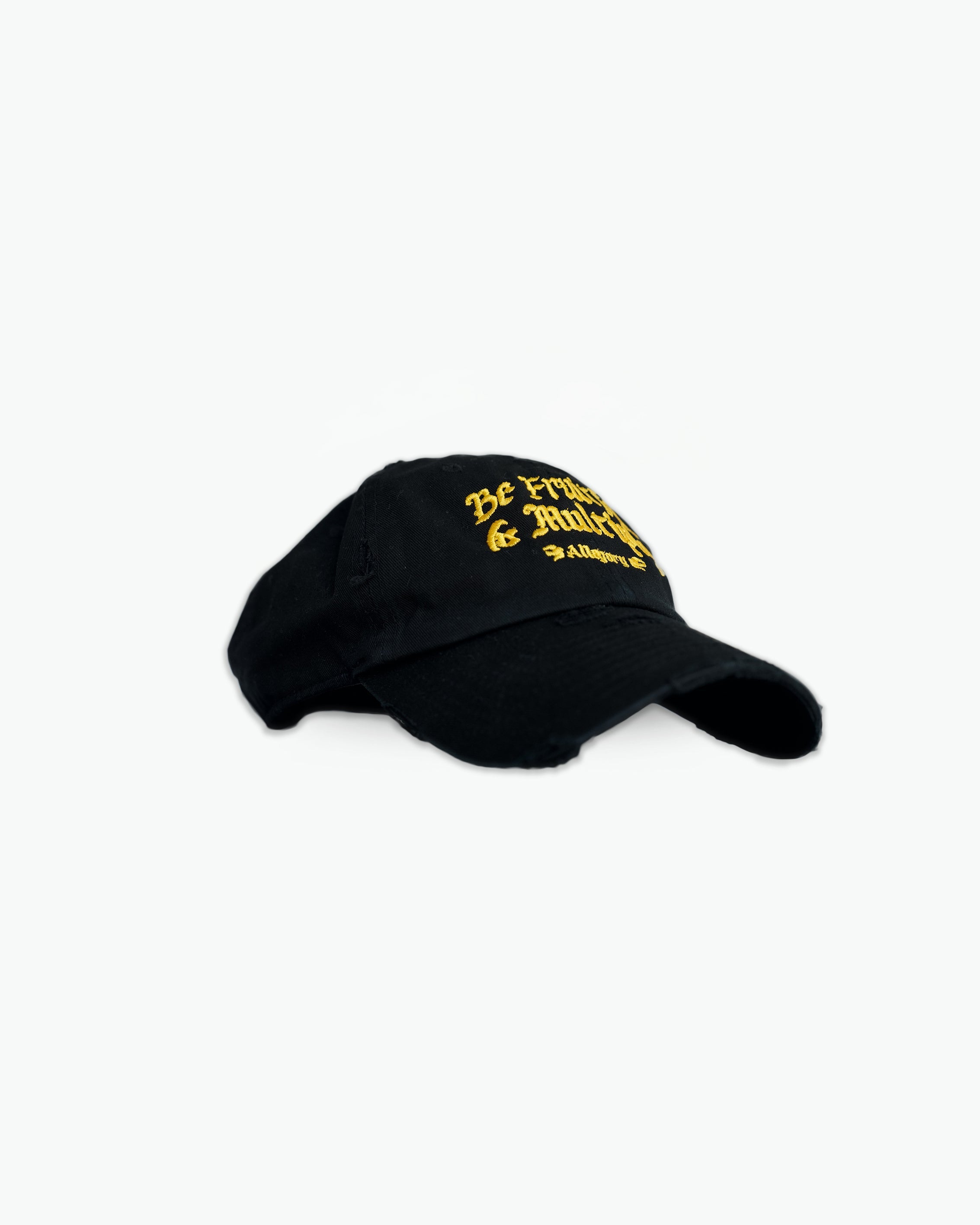 Be Fruitful and Multiply Premium Cotton Hat / Black-2