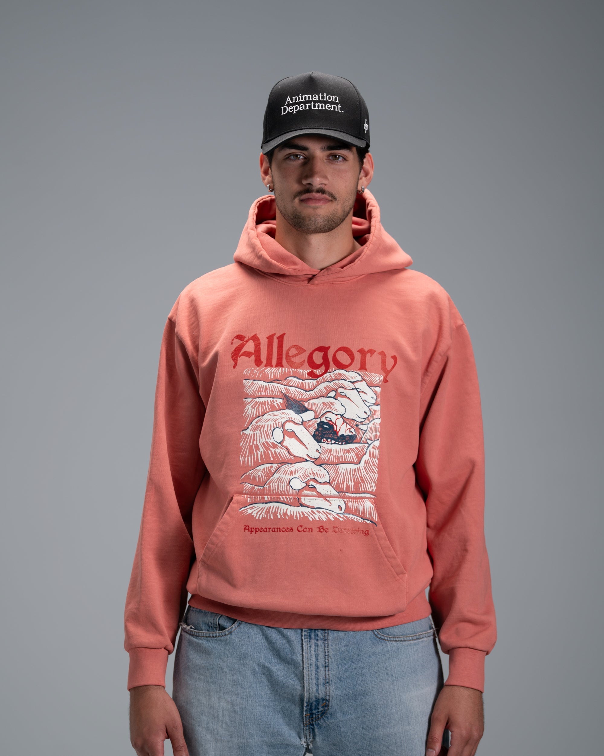 Wolf In Sheep Clothing Hoodie / Terracotta-2