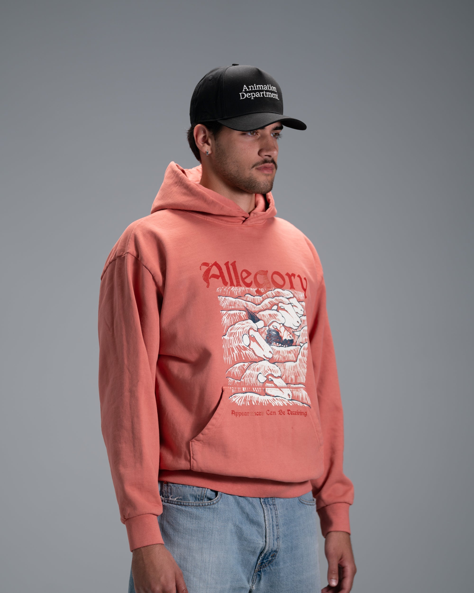 Wolf In Sheep Clothing Hoodie / Terracotta-3