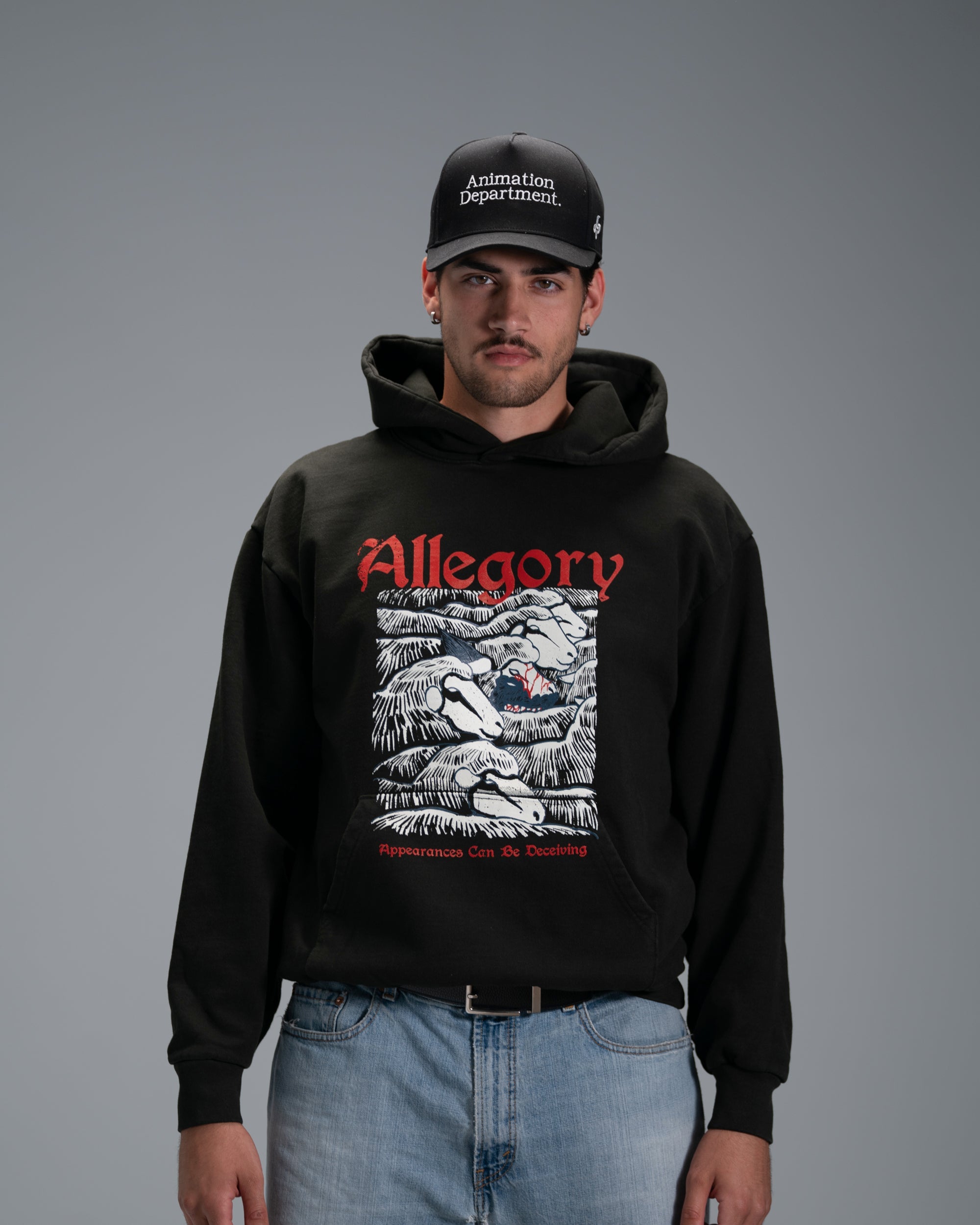 Wolf In Sheep Clothing Hoodie / Charcoal-2