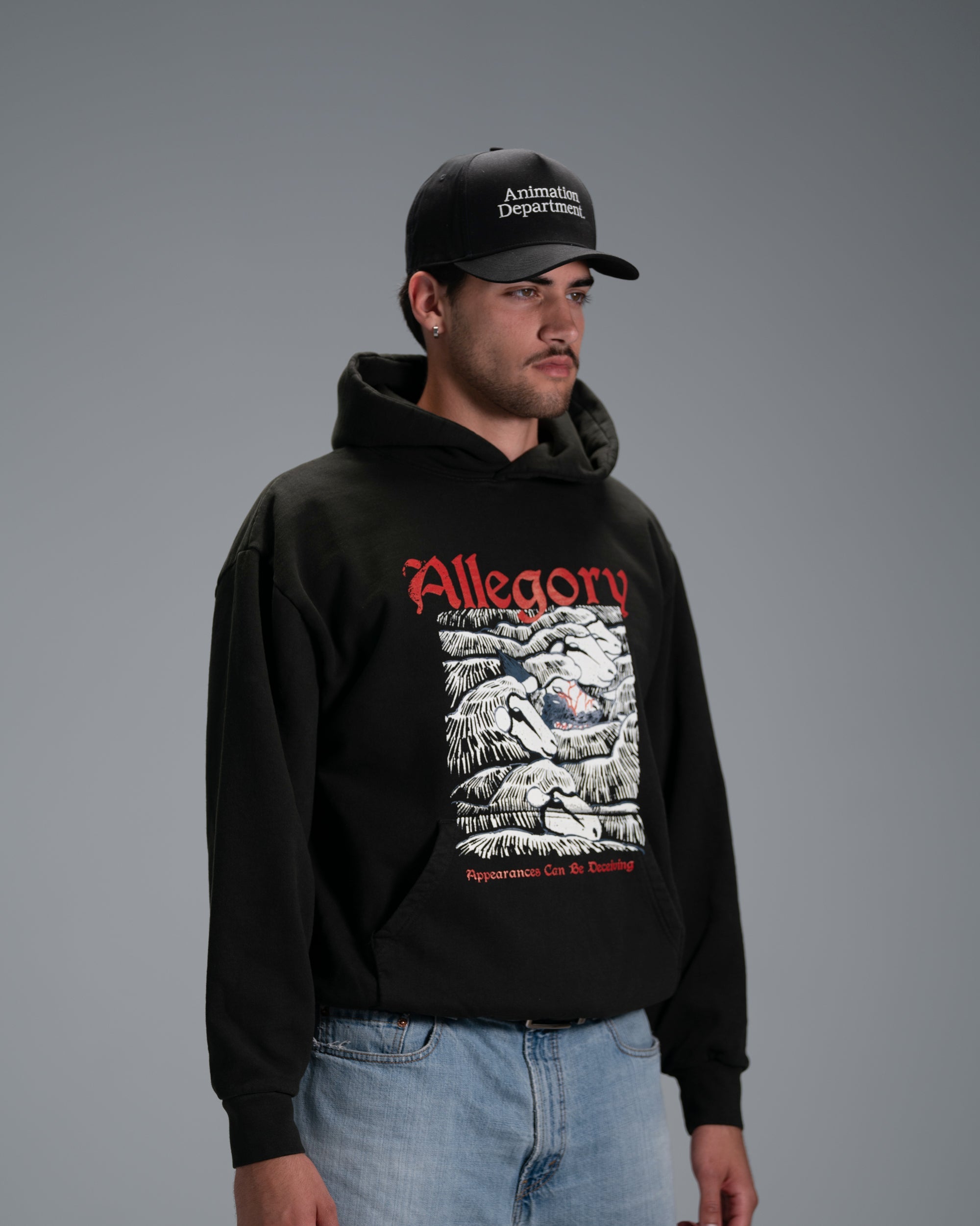 Wolf In Sheep Clothing Hoodie / Charcoal-3