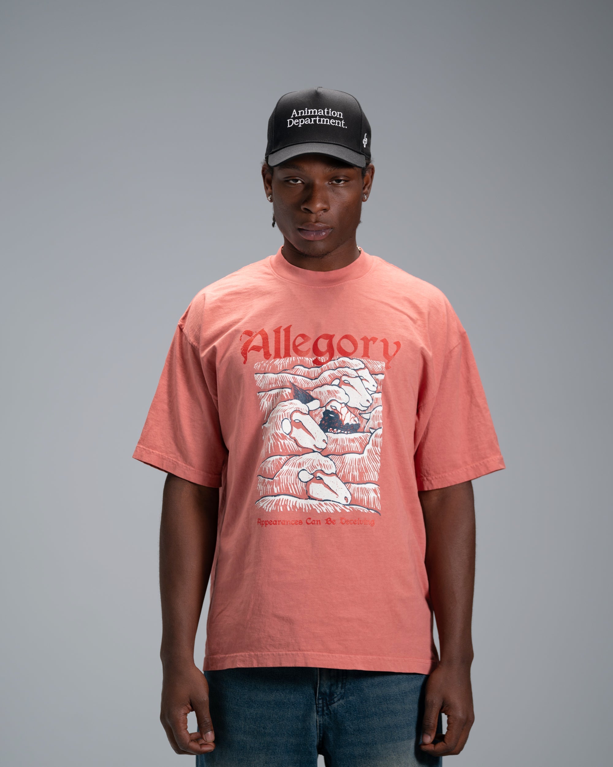 Wolf In Sheep Clothing Tee / Terracota-3