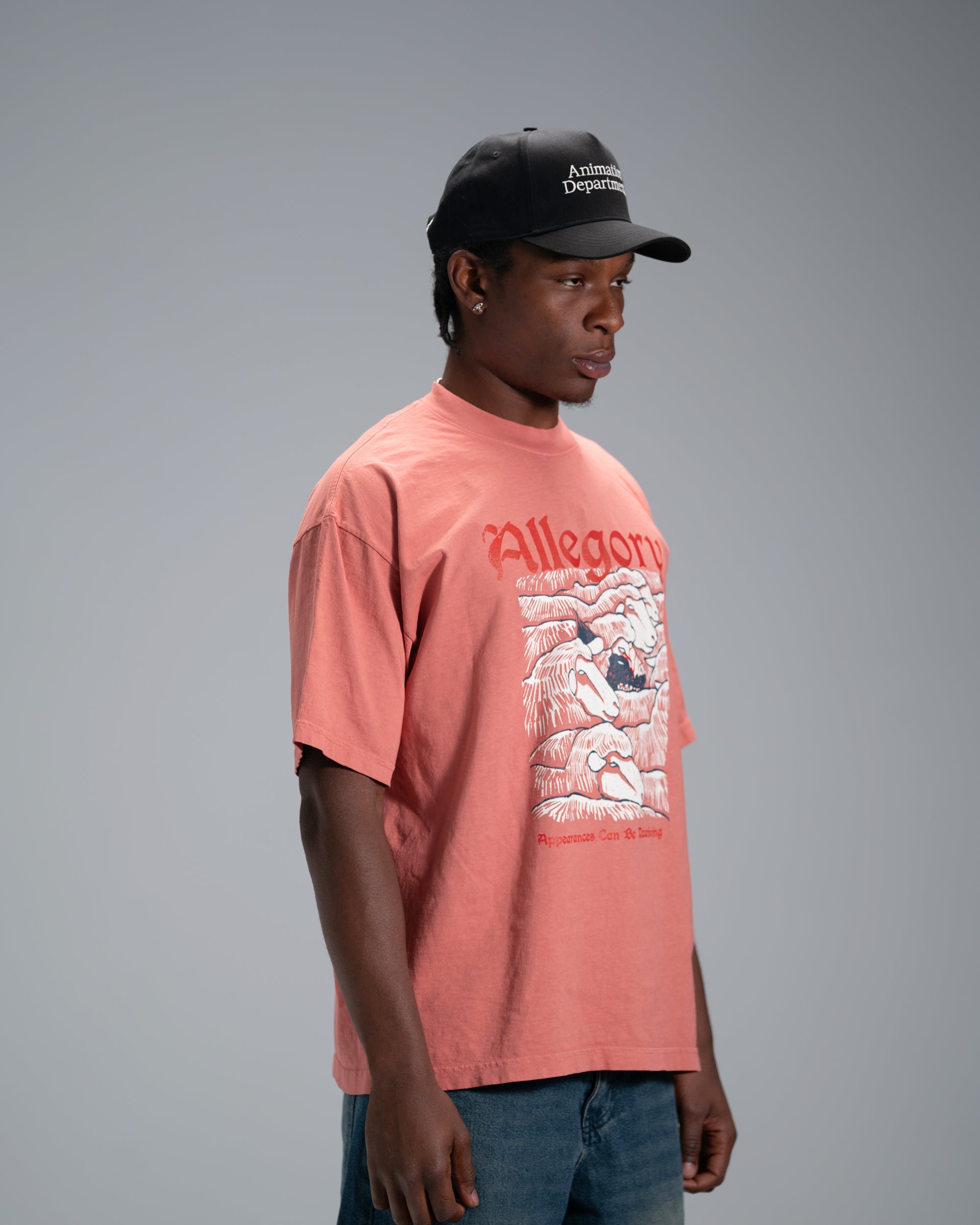 Wolf In Sheep Clothing Tee / Terracota-4