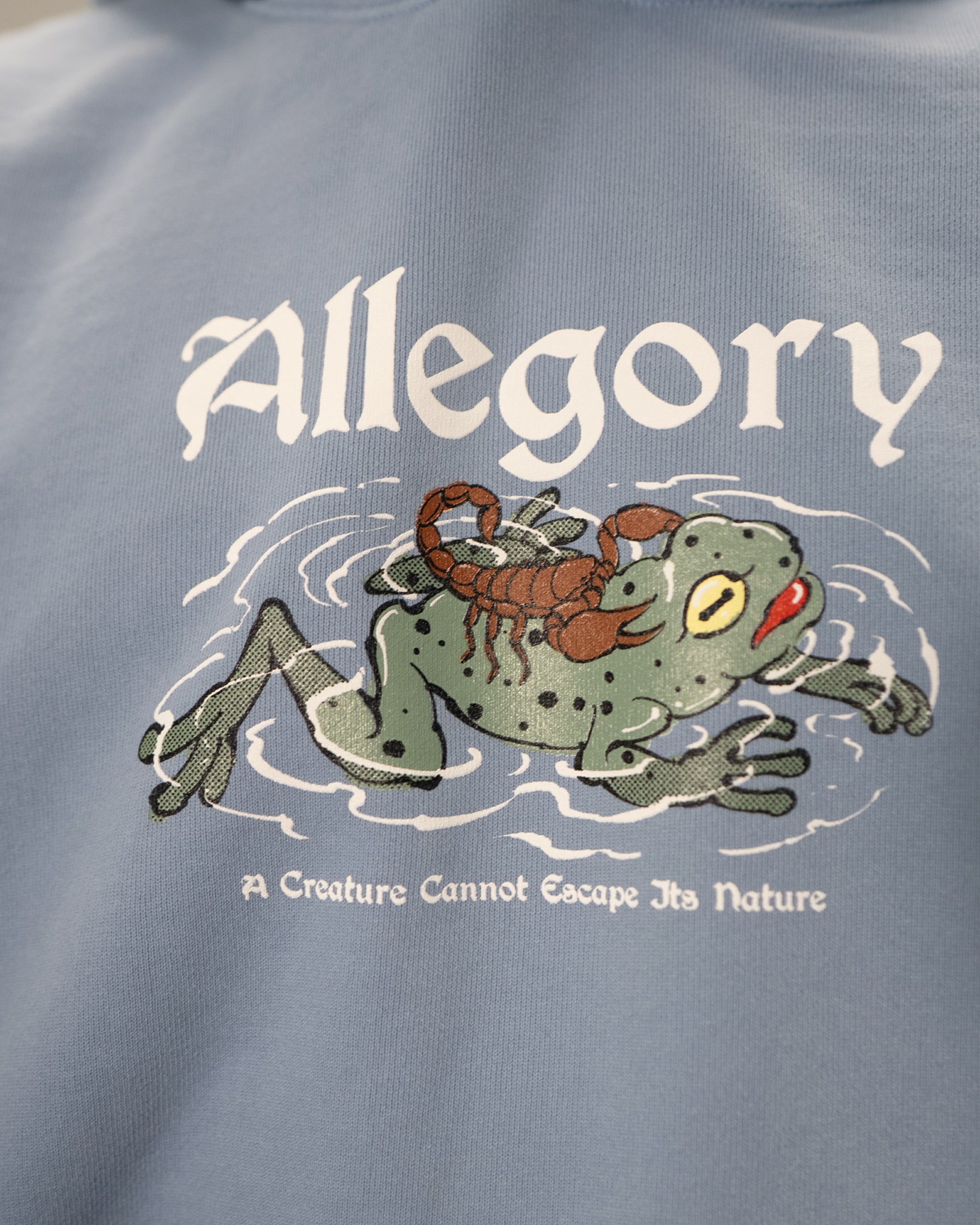 Scorpion and The Frog Tee / Soft Denim Blue-5