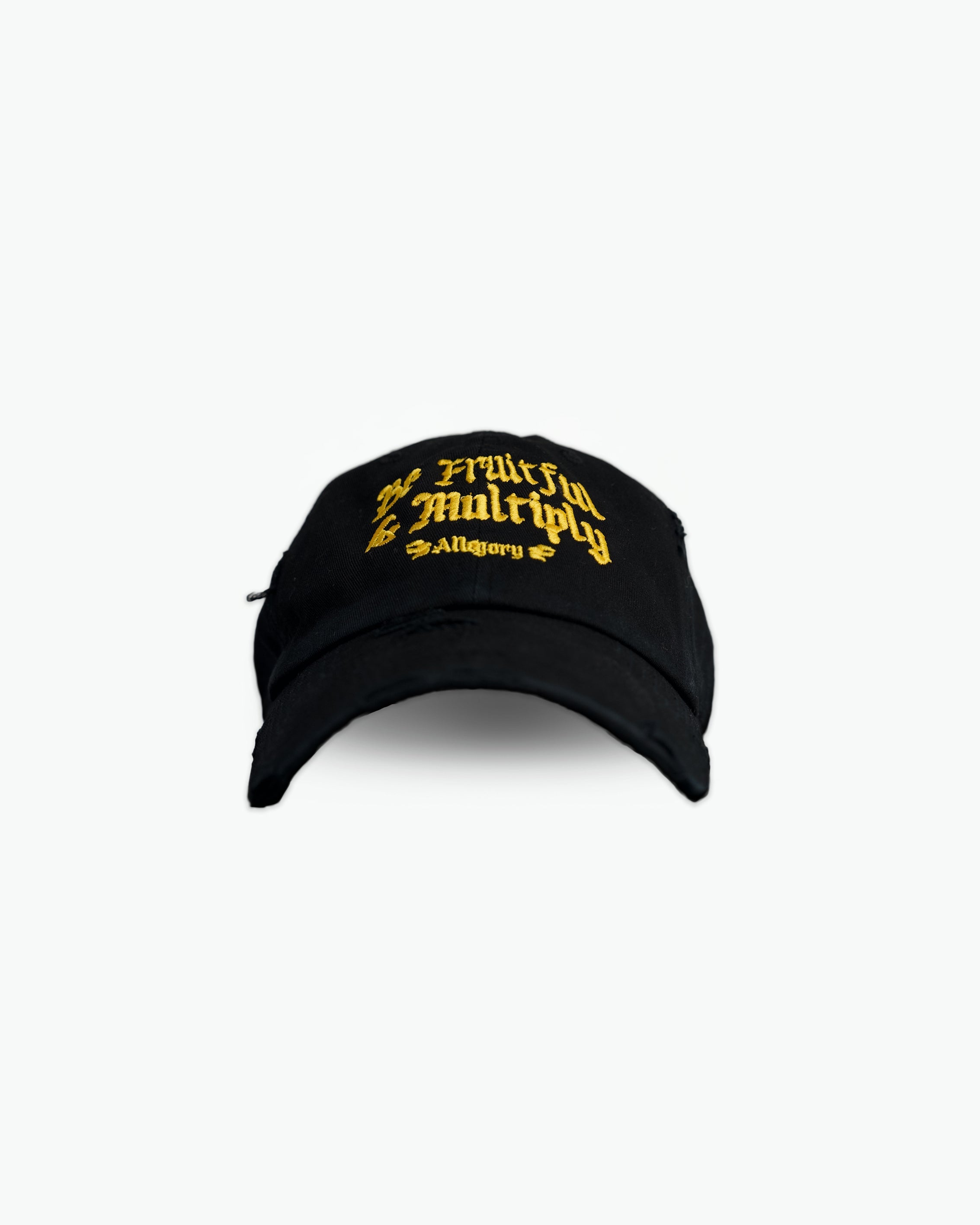 Be Fruitful and Multiply Premium Cotton Hat / Black-1