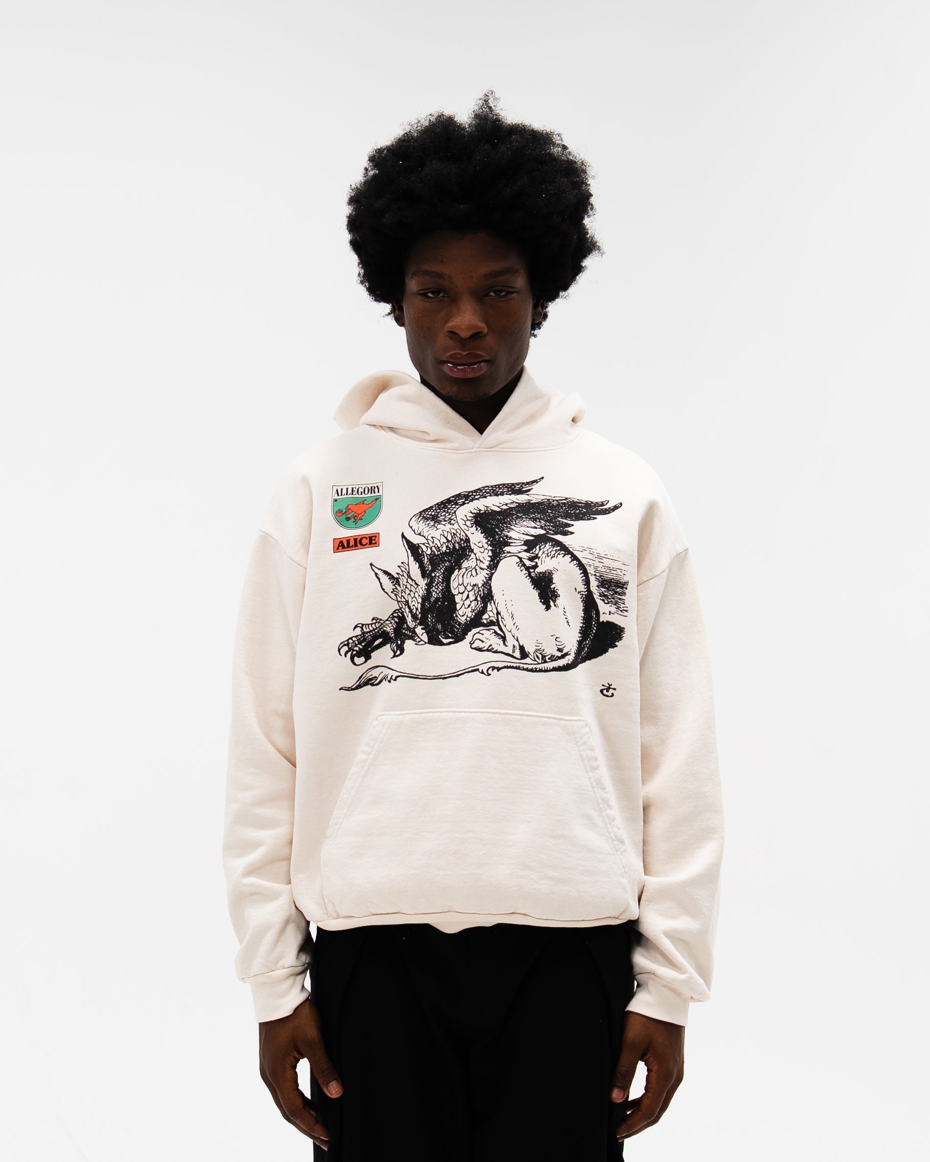 Gryphon Hoodie-3