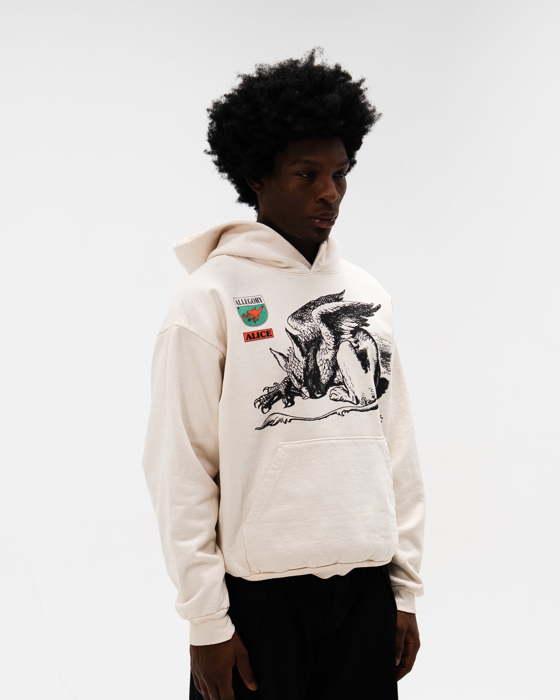 Gryphon Hoodie-4