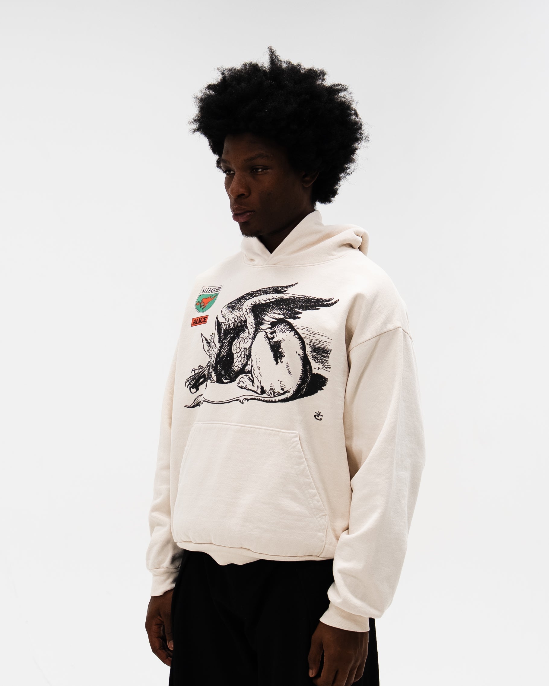 Gryphon Hoodie-5
