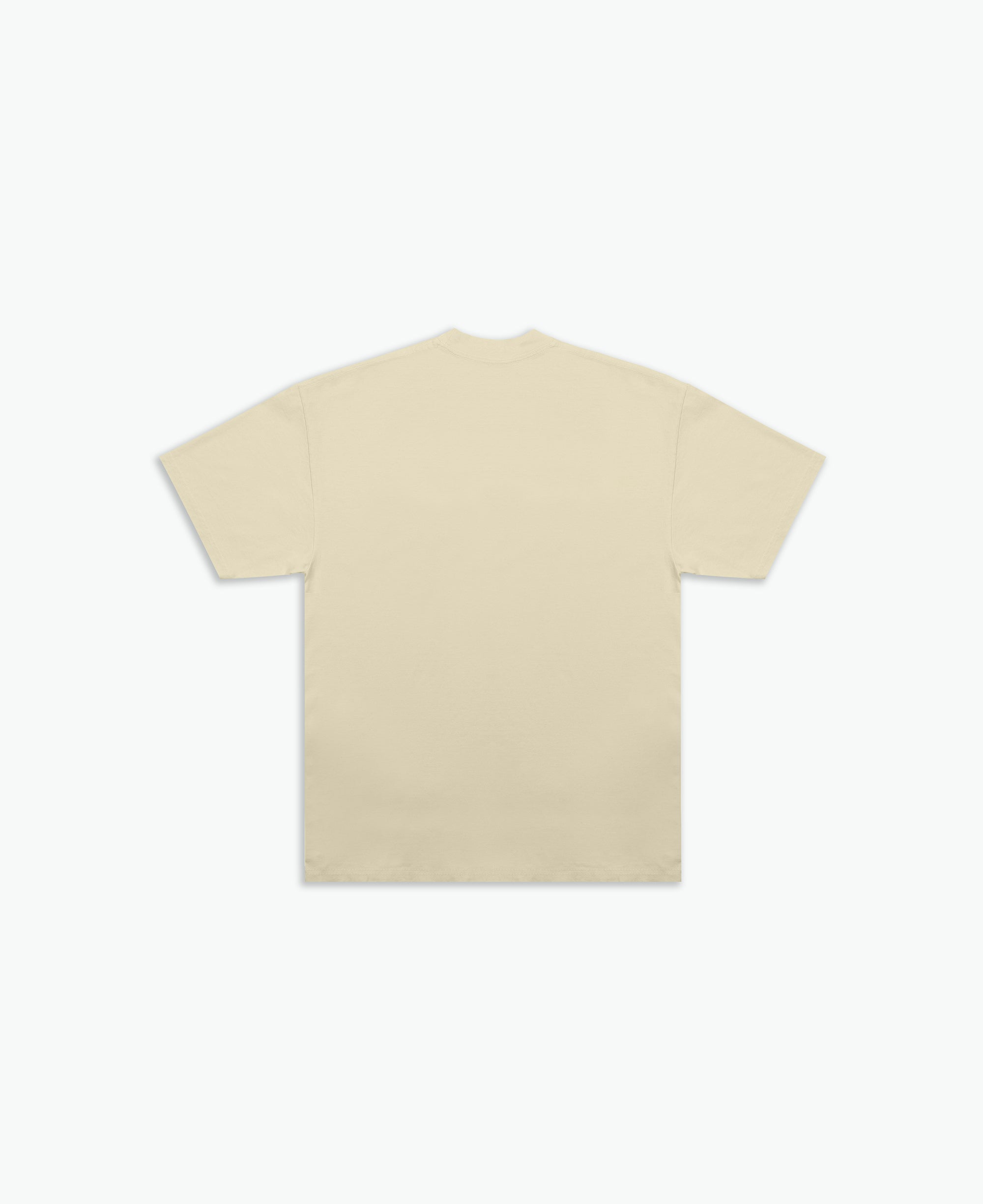 Tortoise and The Hare Tee / Washed Gold-2