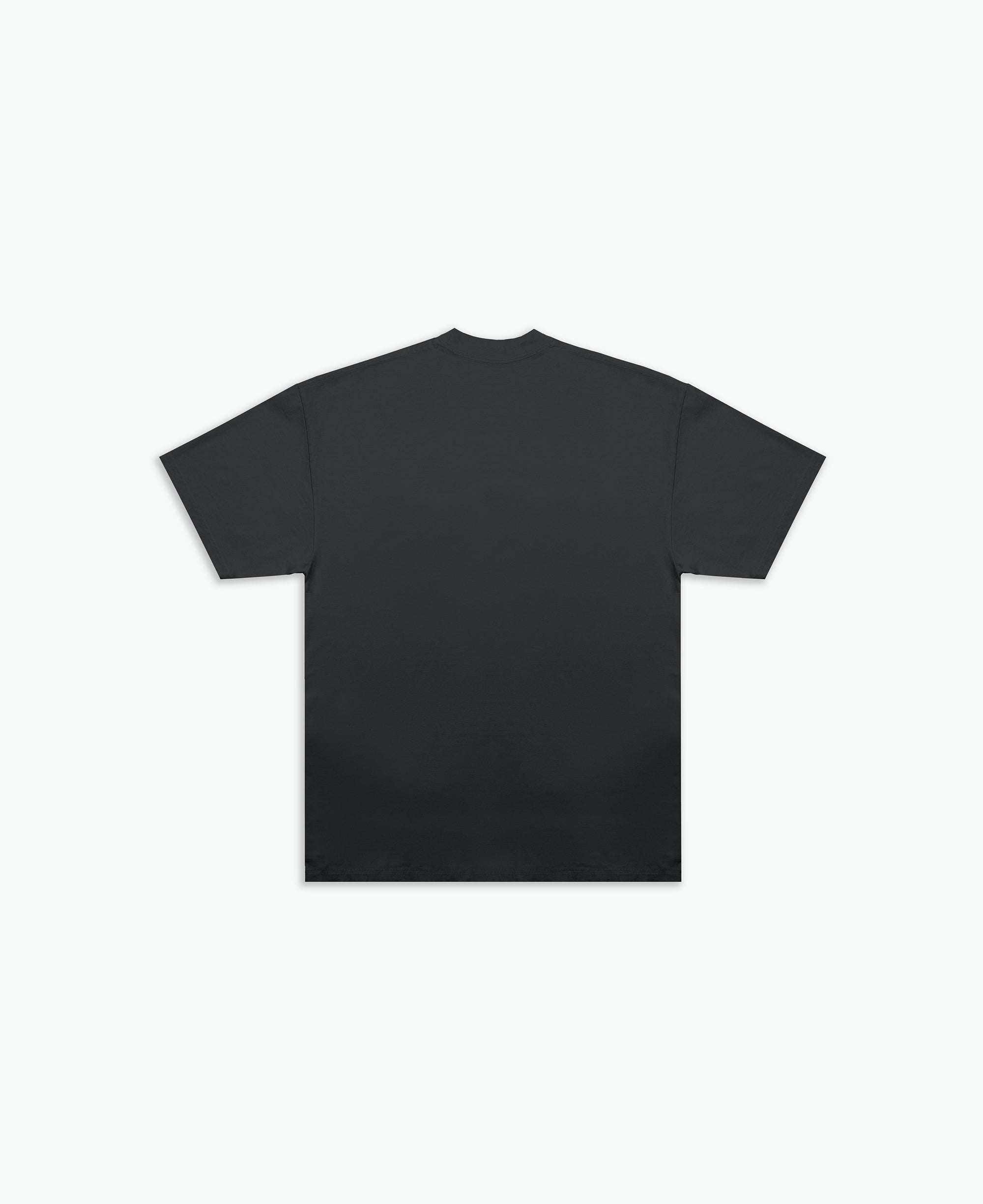 Tortoise and The Hare Tee / Charcoal-2