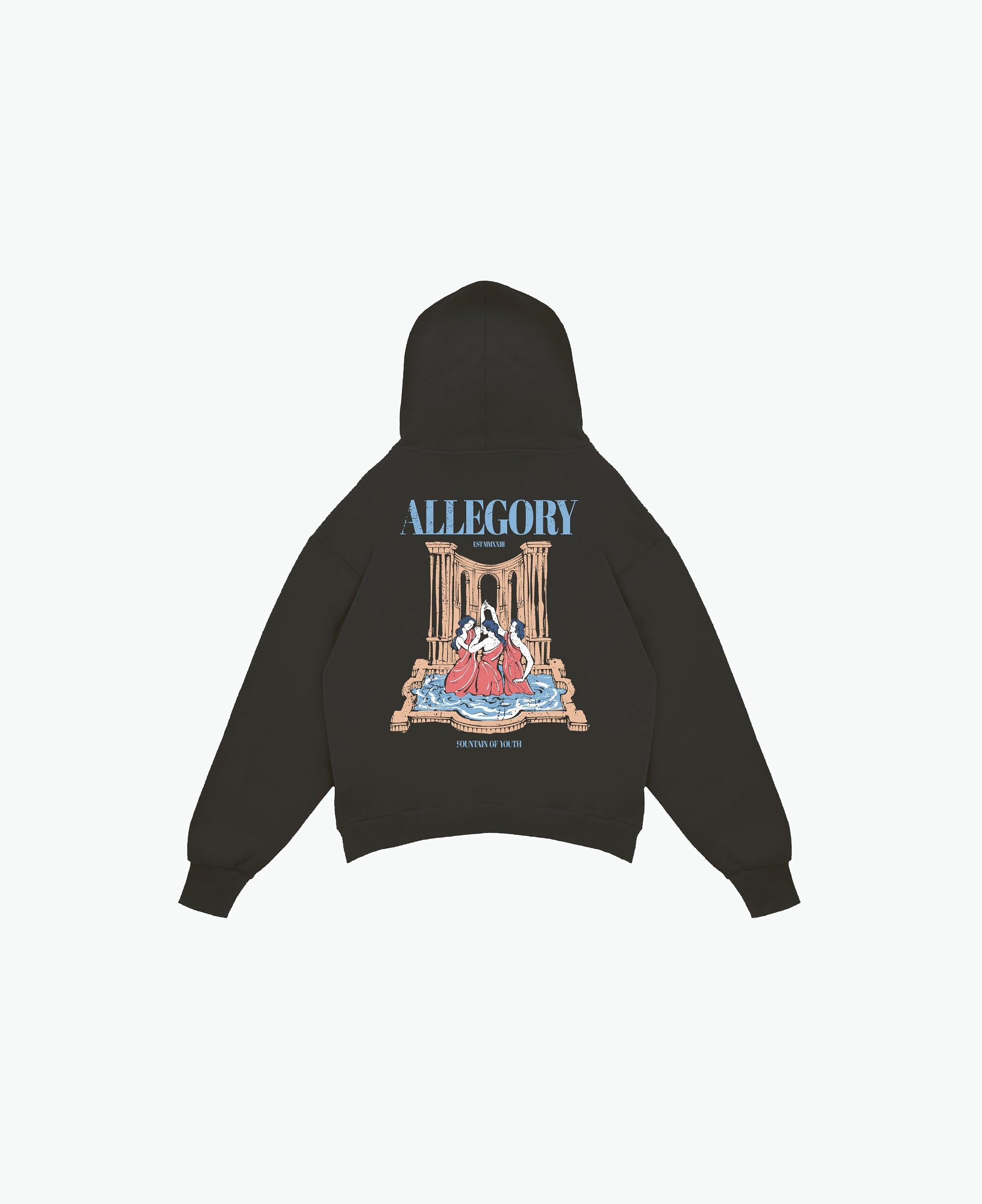 Fountain of Youth Hoodie / Charcoal-1