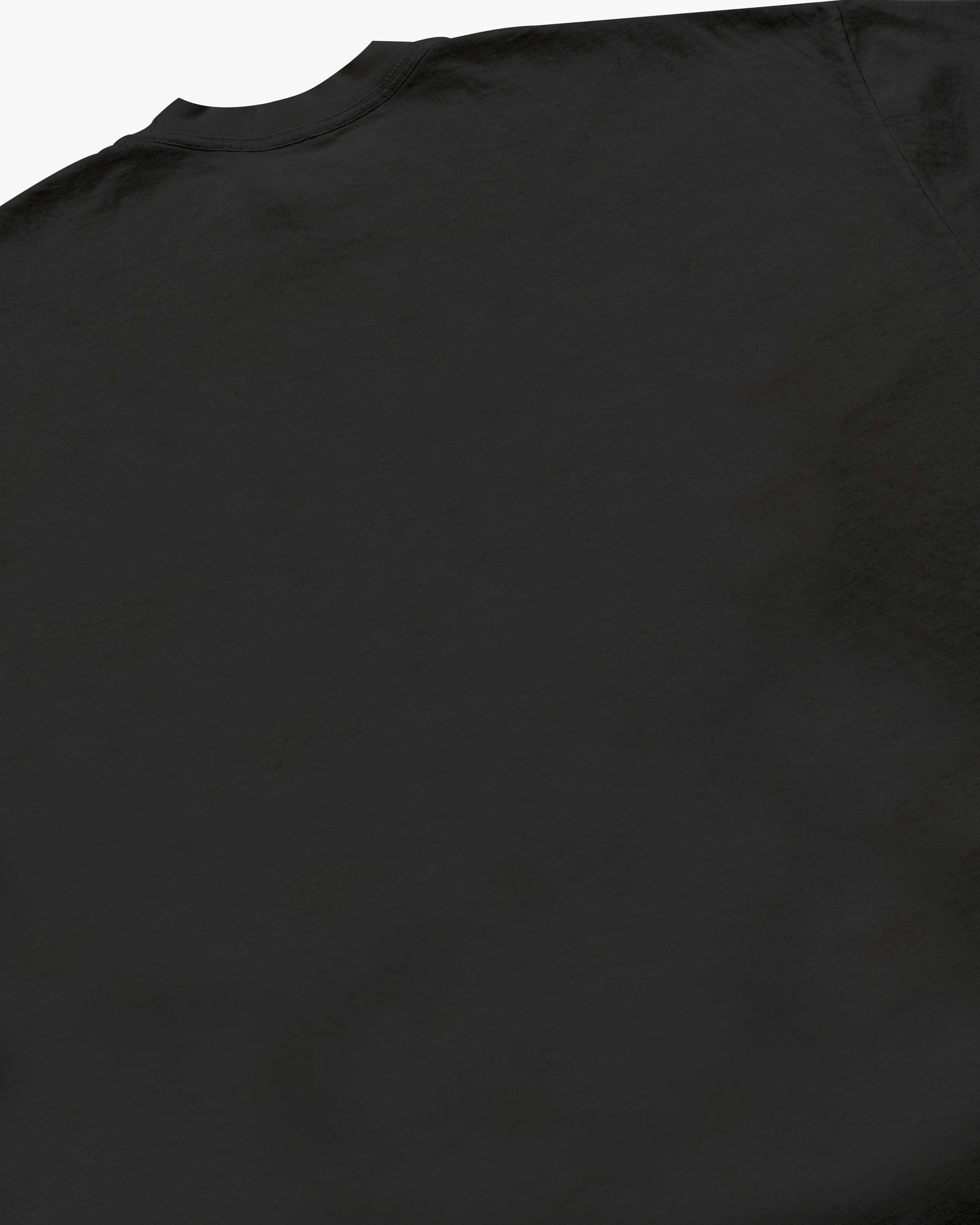 Tortoise and The Hare Tee / Charcoal-4