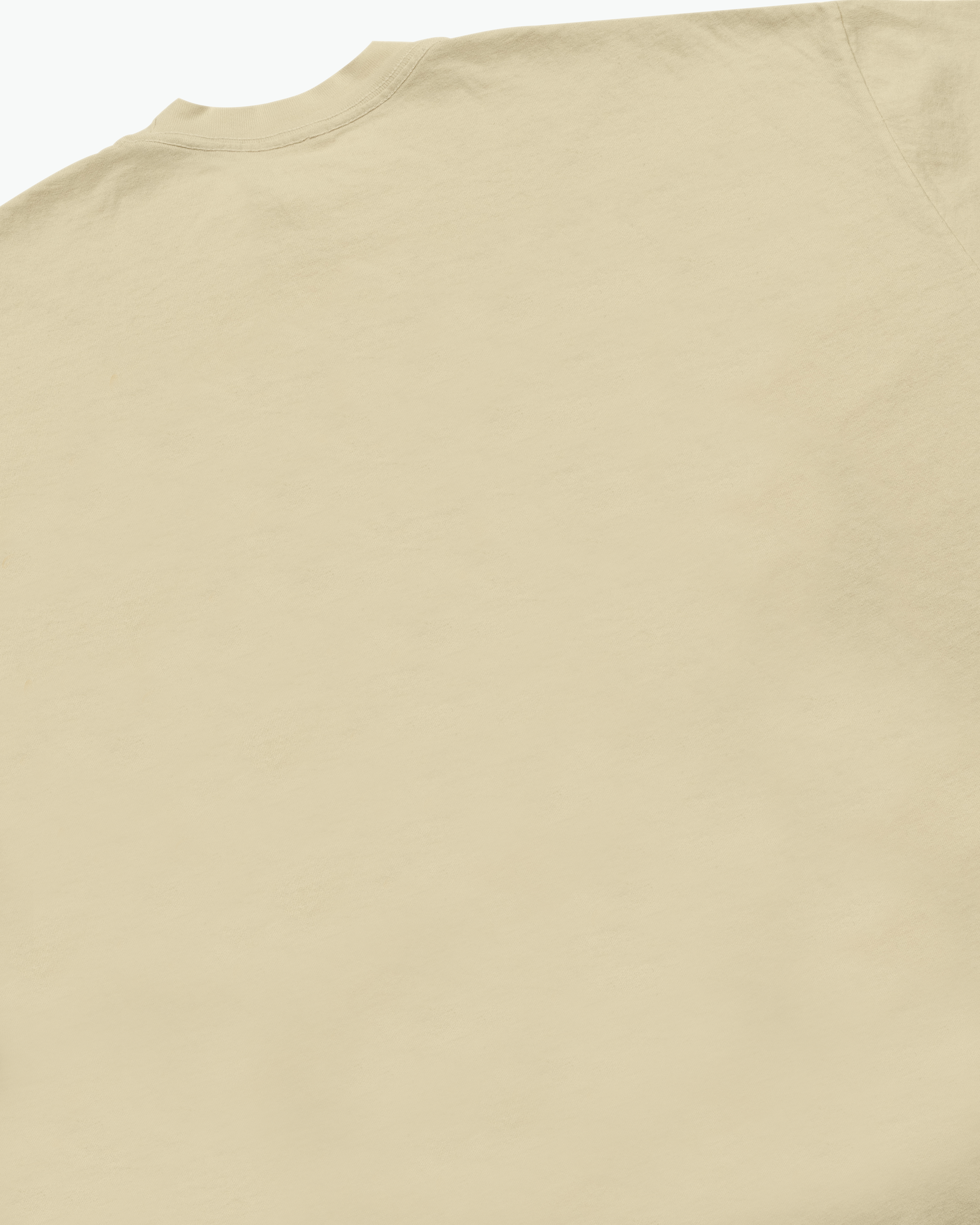 Tortoise and The Hare Tee / Washed Gold-4