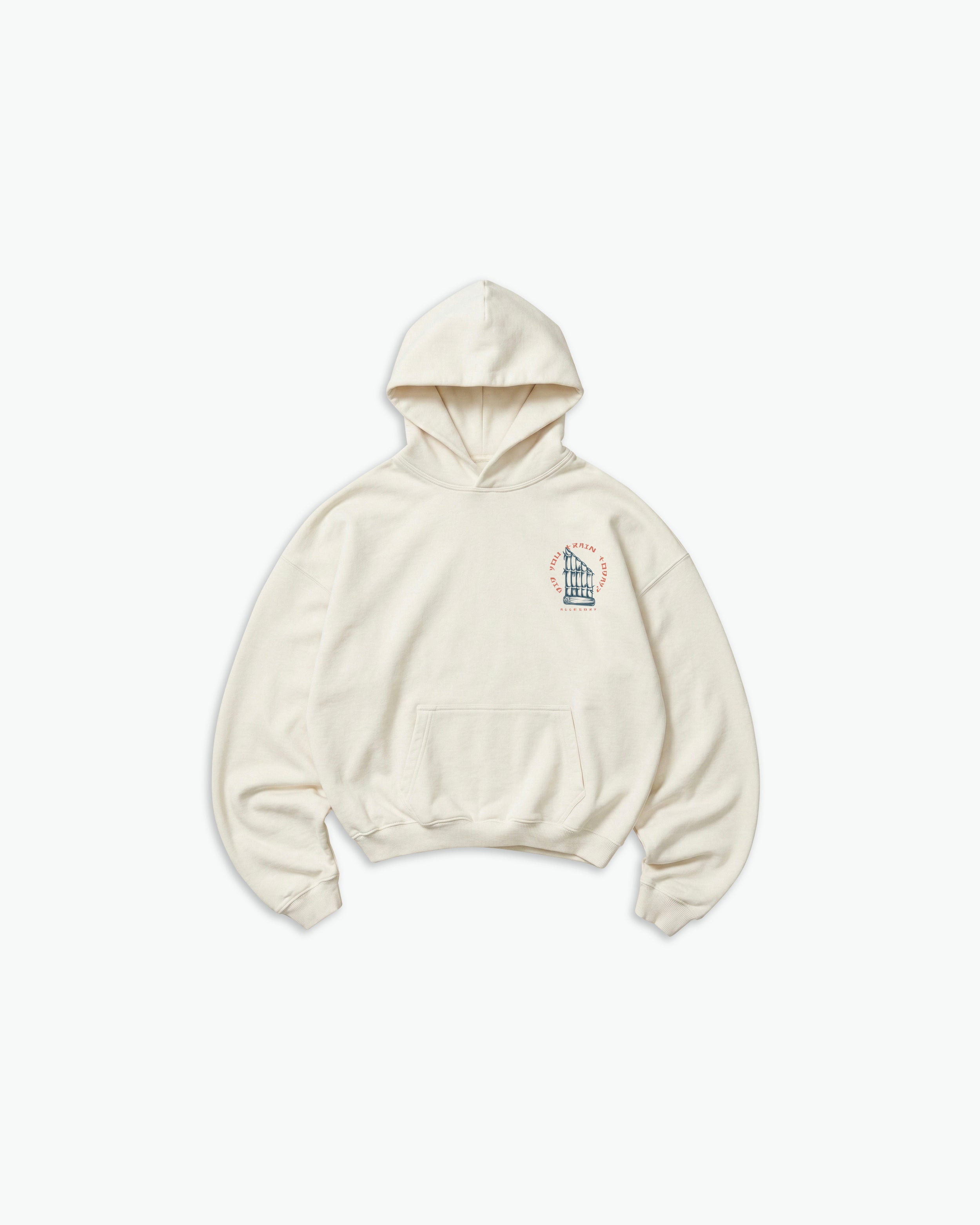 Did You Train Today Hoodie-2