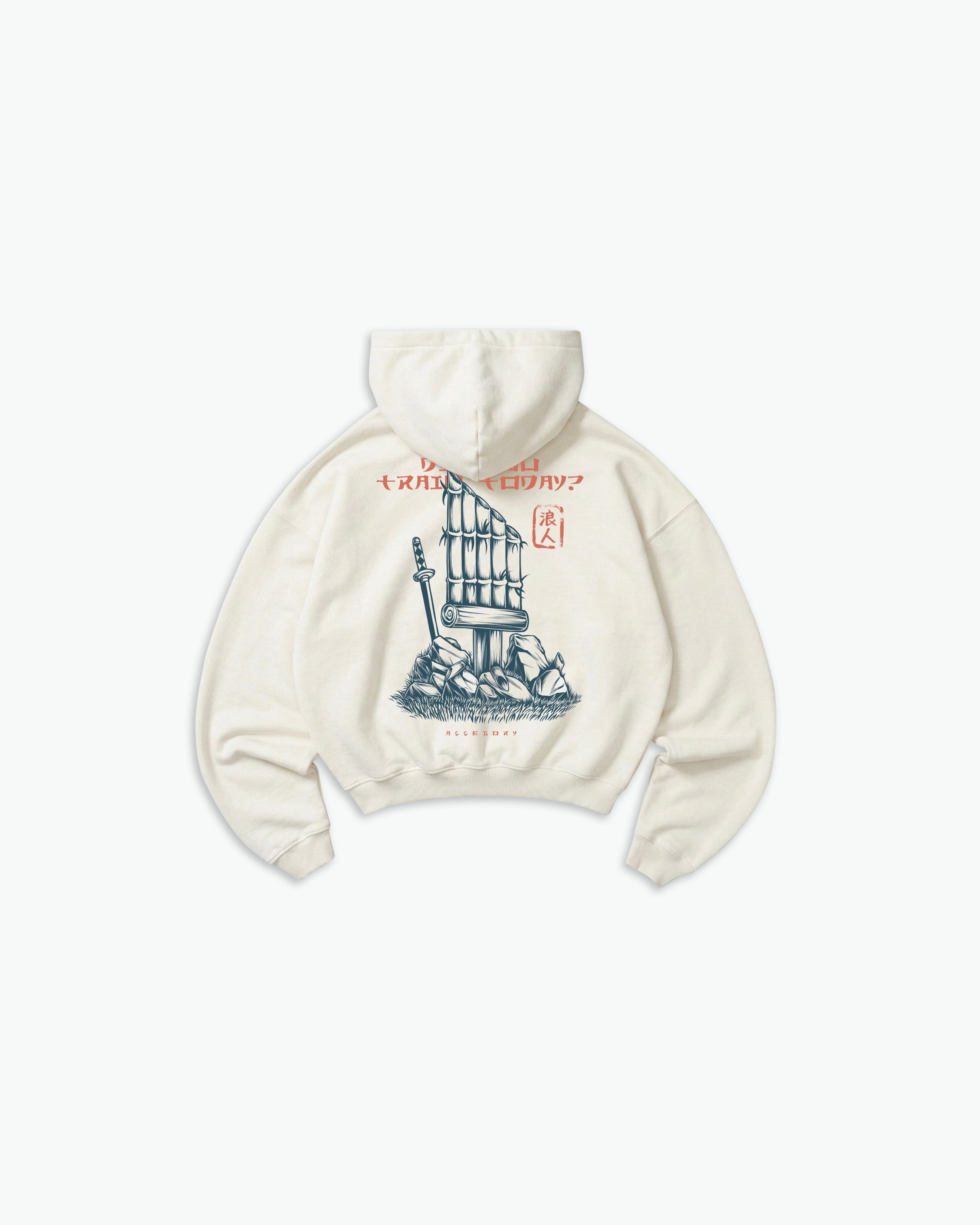 Did You Train Today Hoodie-1